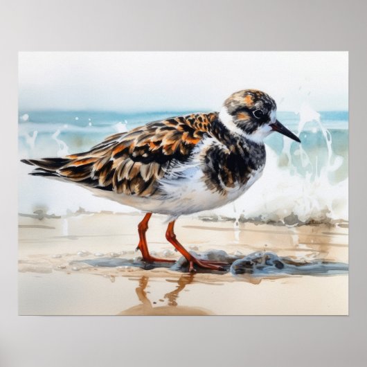 Poster Ruddy Turnstone Bird Art Imprimer l'affiche (Devant)