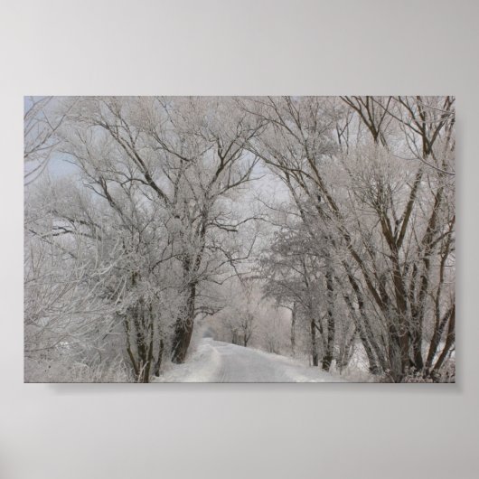 Poster Rue bordée d'arbres d'hiver (Devant)