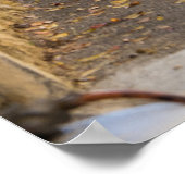 Poster Rue étroite vide, France (Coin)