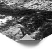 Poster Ruée vers l'or en Alaska, années 1890 (Coin)