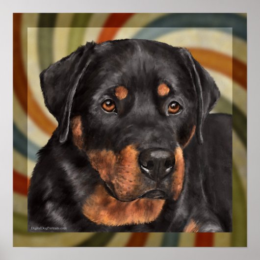 Poster ruger (Devant)