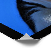 Poster Rugissement du chat domestique (Coin)