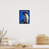 Poster Rugissement du chat domestique (Cuisine)
