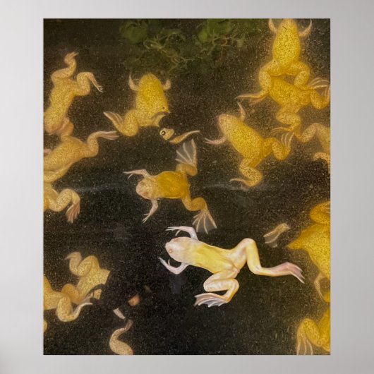 POSTER Rugzak afbeelding science kikkers zwemmen (Voorkant)