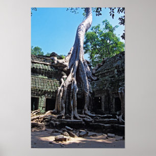 Poster Ruine de Ta Prohm - Angkor Vat, Cambodge, Asie