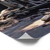 Poster Ruine de Ta Prohm - Angkor Vat, Cambodge, Asie (Coin)