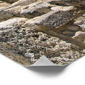 Poster ruines (Coin)