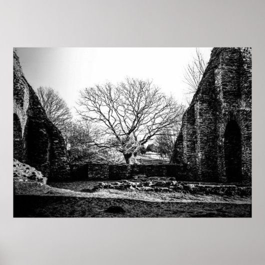 Poster Ruines (Devant)