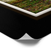 Poster Ruines antiques à Athènes Grèce (Coin)