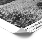 Poster Ruines antiques : Porte d'entrée de Labna, Yucatan (Coin)