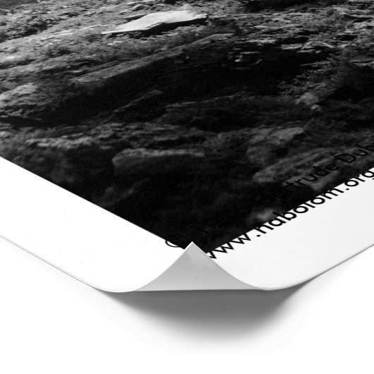 Poster Ruines antiques : Temple 33 de Yaxchilan (Coin)