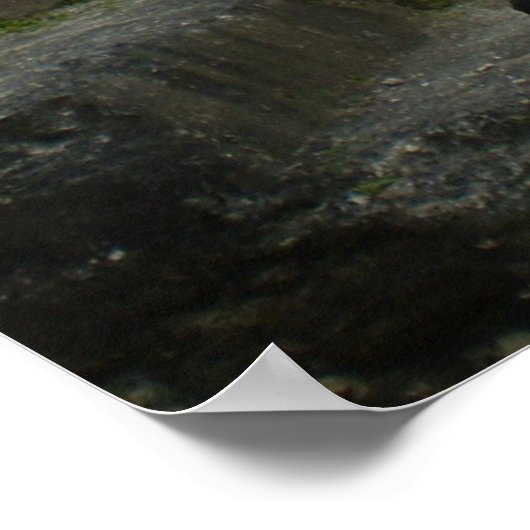 Poster Ruines d'Altuna Ha Maya (Coin)