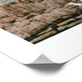 Poster Ruines de la Villa Adrianna (Coin)