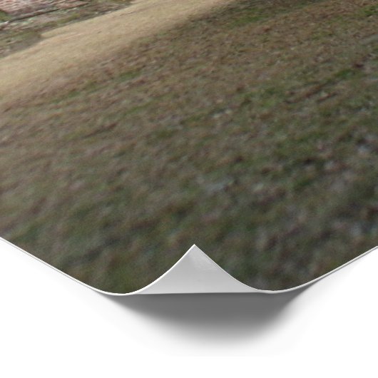 Poster Ruines de l'église Sheldon (Coin)