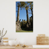 Poster Ruines de Windsor (Cuisine)