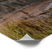 Poster Ruines du château St Andrew (Coin)