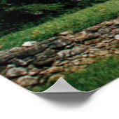 Poster Ruines Mayas De Palenque (Coin)