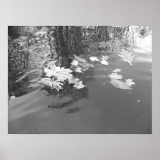 Poster Ruisseau