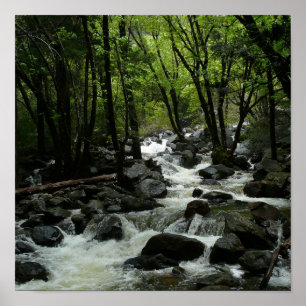 Poster Ruisseau Bridalveil dans le parc national de Yosem