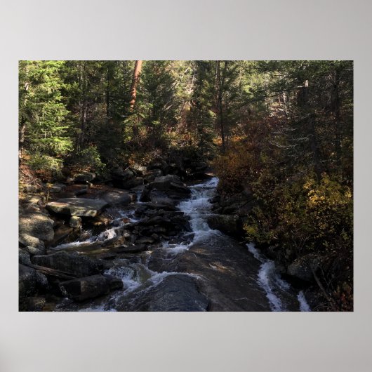 Poster Ruisseau de forêt (Devant)