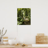 Poster ruisseau en forêt tropicale, Dominique (Cuisine)