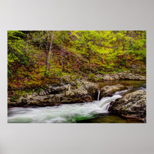 Poster Ruisseau forestier dans les Great Smoky Mountains