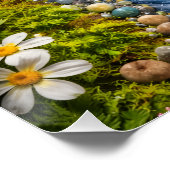 Poster Ruisseau serein de la forêt, art de la nature tran (Coin)