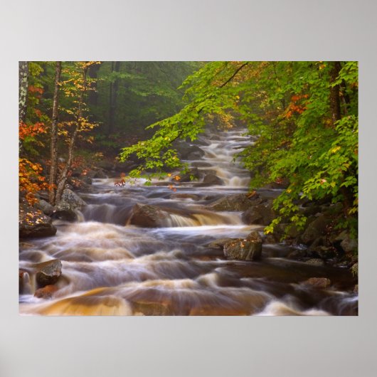 Poster Ruisseaux le long du sentier des Appalaches (Devant)