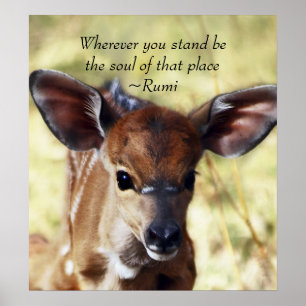 Poster Rumi partout où vous vous tenez