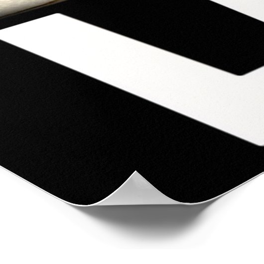 Poster Rumsfield les burbs (Coin)