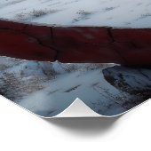 Poster Rune Uruz (Coin)