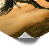 Poster Running Black Stallion (Coin)