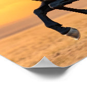 Poster Running Black Stallion (Coin)