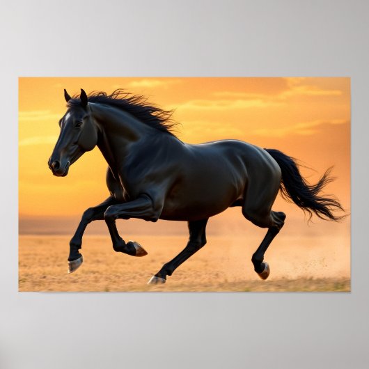 Poster Running Black Stallion (Devant)