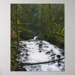 Poster Running de Bridal Veil Falls, Oregon