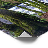 Poster Running de Bridal Veil Falls, Oregon (Coin)
