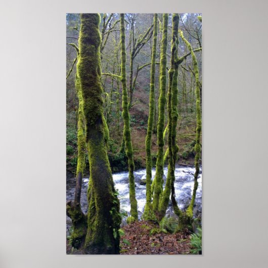 Poster Running de Bridal Veil Falls, Oregon (Devant)