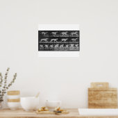 Poster Running Dog, plaque 707 de 'Animal Locomotion', 1 (Cuisine)