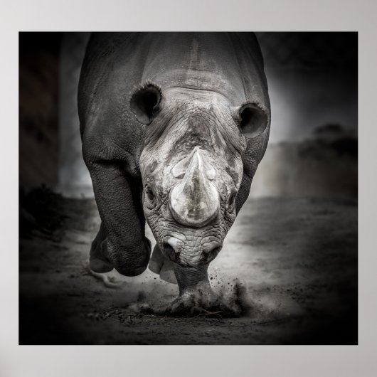 Poster Running Rhinoceros : Wild Animal Portrait. (Devant)