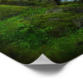 Poster Runoff de Wahkeena Falls, Oregon (Coin)