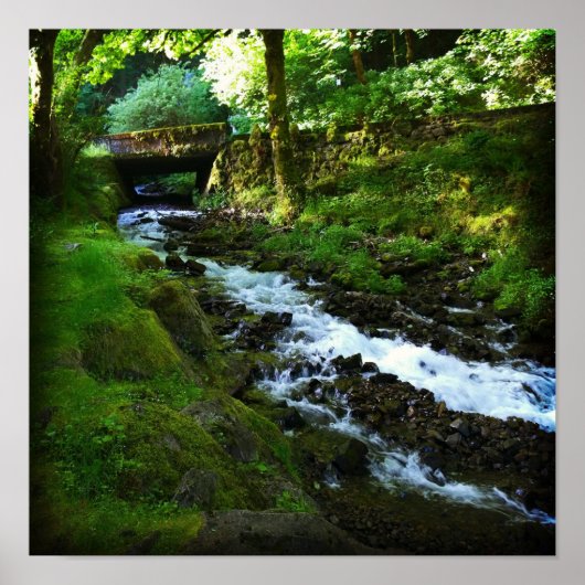 Poster Runoff de Wahkeena Falls, Oregon (Devant)