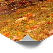 Poster Rural - Outhouse - When nature calls (Coin)