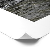 Poster Rushing By (large) (Coin)