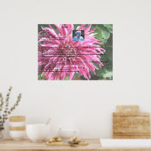 Poster Rusks suédois de grand-mère (Cuisine)