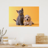 Poster Russe Blue Kitten Et Chiot Dachshund (Cuisine)