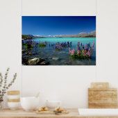 Poster Russell Lupins in Lake Tekapo, New Zealand (Cuisine)