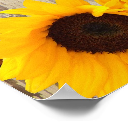 Poster Rustic Grange Mariage de tournesol en bois (Coin)