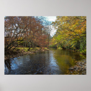 Poster Rustic River Stream Fall Leaves Nature Photography