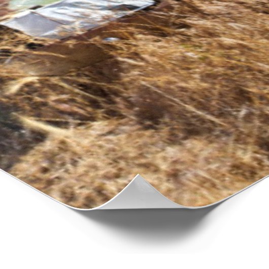 Poster Rusting car (Coin)