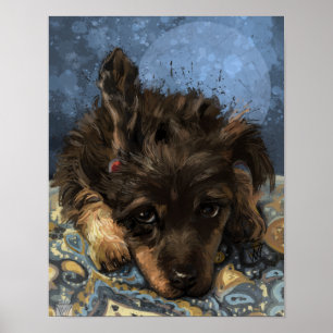 Poster Rusty le Caniche